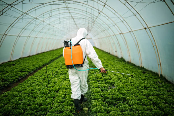 Best Ant Control Services  in La Presa, CA