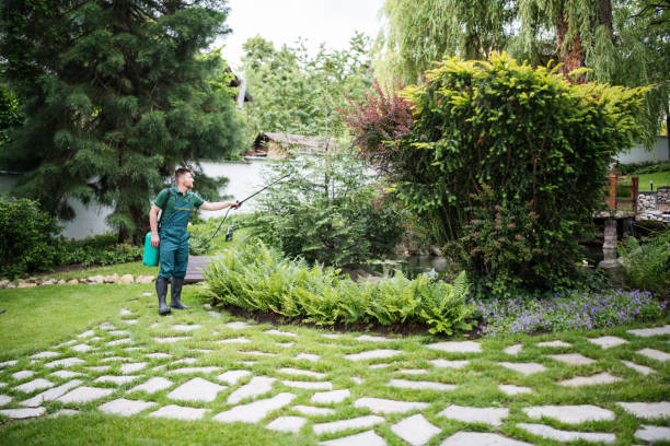 Best Best Pest Control Companies  in La Presa, CA