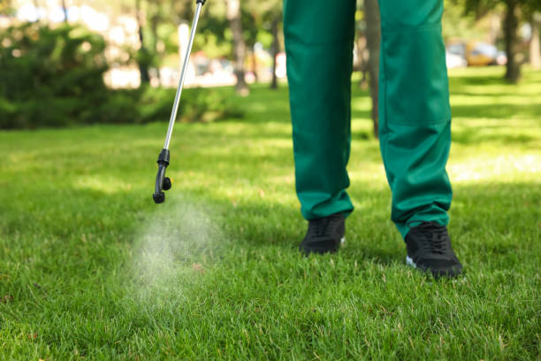 Best Local Pest Control Services  in La Presa, CA