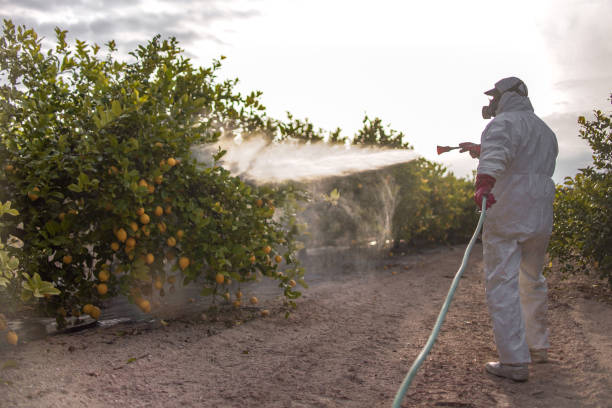 Best Cockroach Control Services  in La Presa, CA