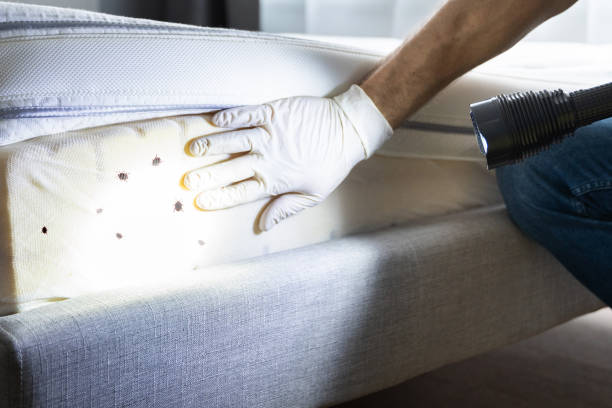 Best Pest Inspection Near Me  in La Presa, CA
